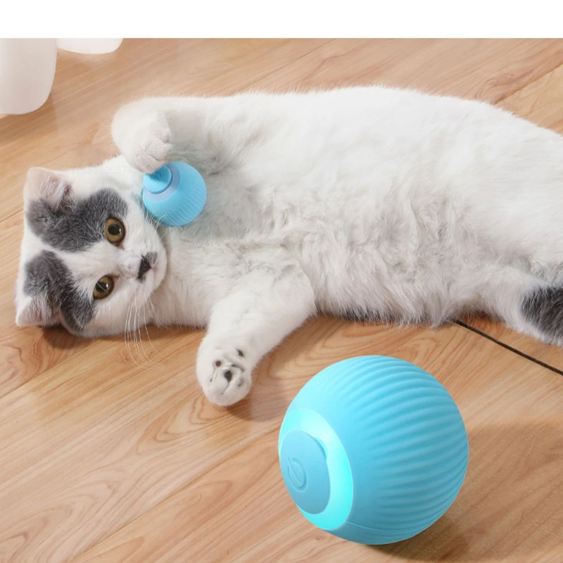 Cat Interactive Ball Smart Cat - Electronics Gadgets Wholesale ulasan dan harga